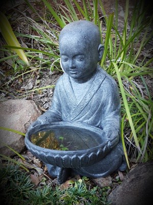 Buddha Water Statue- birdbath -50x35cm Great for apartment patios and decks. A water feature in the garden is so important for the birds.