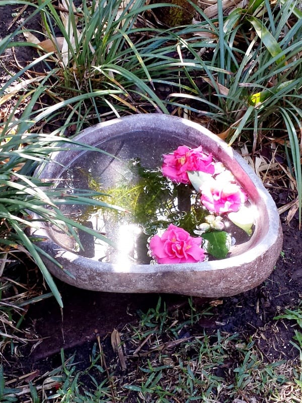 Handcrafted stone bowls from Bali. Stone BIRD BATH 40cm CPS54 - Bowls and Basins for outdoor design. Create ambience in your venue, home or garden.