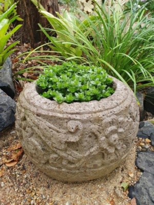 Carved stone planter or bowl CPS81 is a blend of Balinese limestone and concrete 45cm wide x 25cm high - water feature or planter.