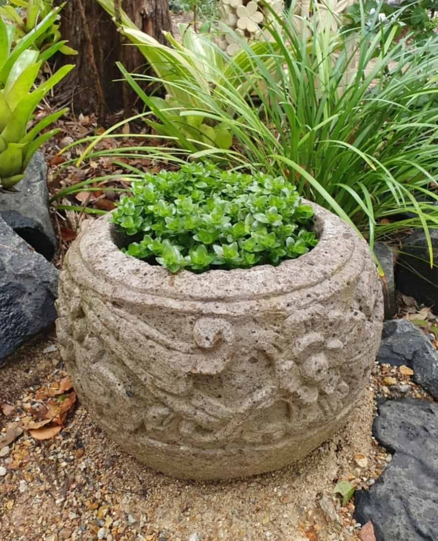 Carved stone planter CPS81 • CasaPandan - statues & lighting