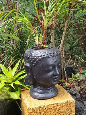 Buddha Head planter 30x25x25cm CPS75. Handcrafted in fibre cement by our Balinese craftsmen and women for your patio or garden.