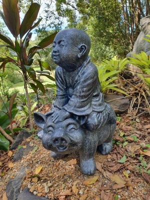 Buddha riding Pig statue 60x50x25cm -made from (GRC) a stone composite material. Great for small gardens, decks and patios in apartments.