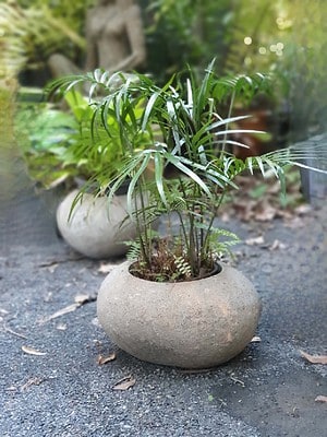 Stone Bowl Planter 27x17 CPS58 - handcrafted in Bali. Create a piece with your special plant or fill with water for the birds in your garden.
