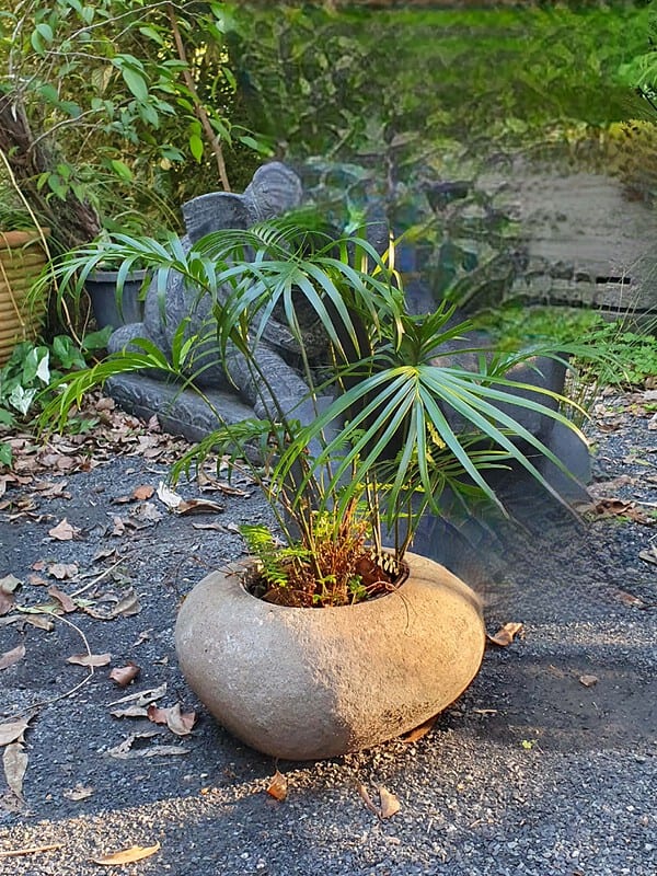 Stone Plant Pot handcrafted in Bali. Create a piece with your special plant or fill with water for the birds in your garden.