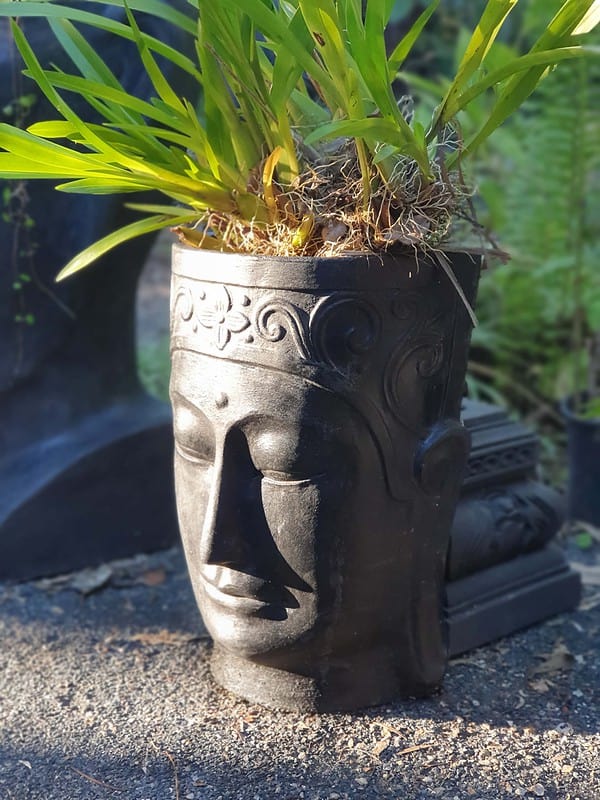Buddha Planter 50cm CPS78 - Handcrafted in Bali. Perfect for  that beautiful plant you have been looking forward to displaying in your garden.