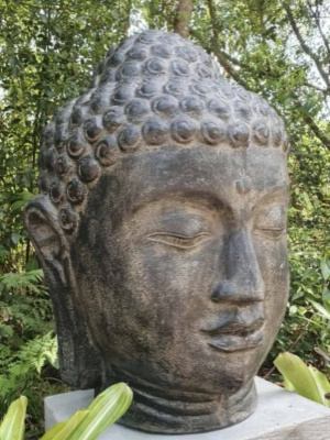 Enhance your space with the Large Buddha Head Statue - 100cm CPS107, a calming symbol of peace and enlightenment. Transform your home today!