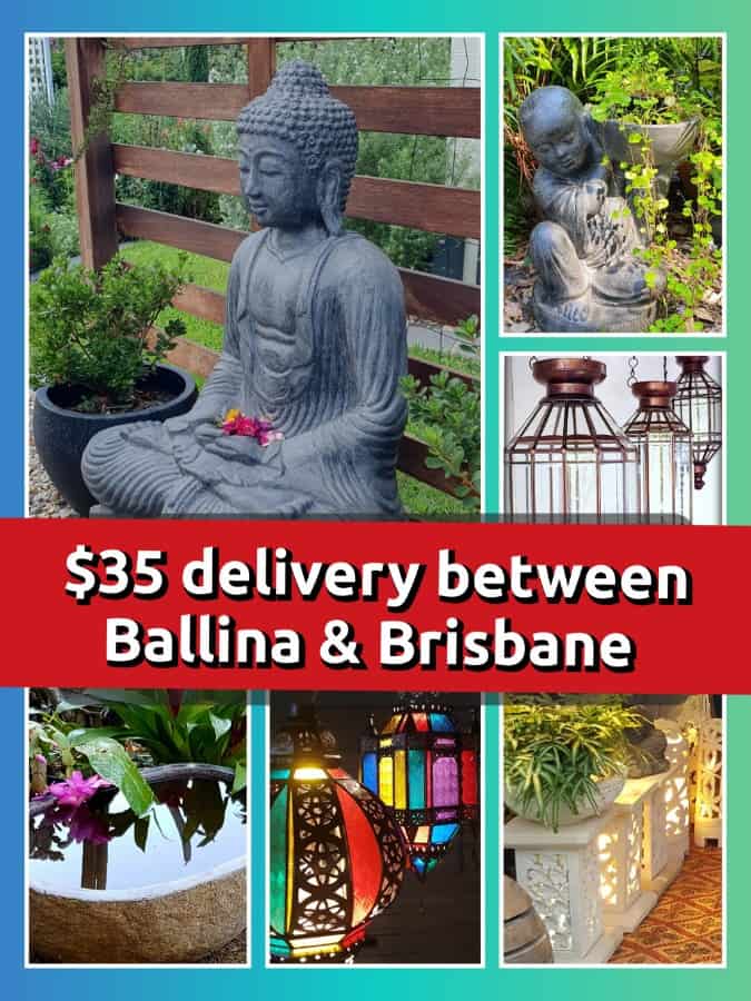 $30 delivery between Brisbane and Ballina If you would like to visit my Shop, Showroom & Display garden it is in Myocum - 15 minutes from Byron Bay. I am open most days, but please call or text first 0498 033 364.