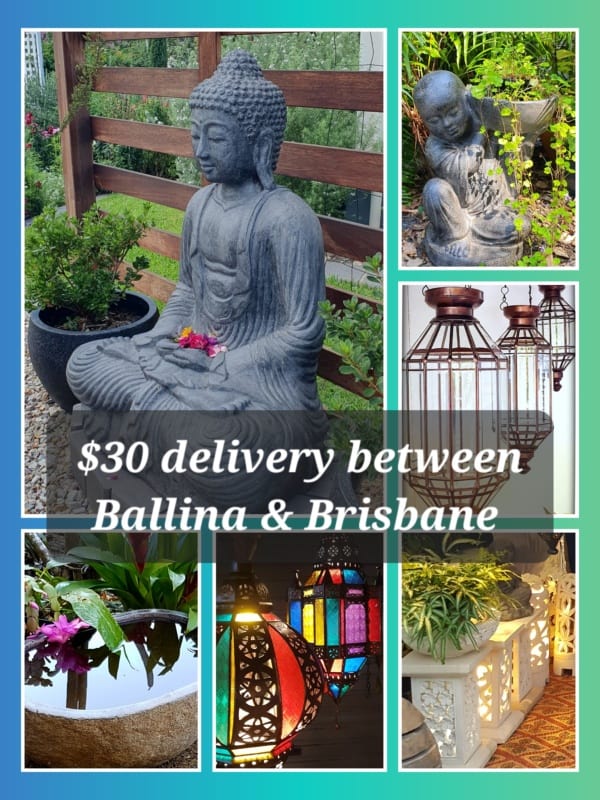 $30 delivery between Brisbane and Ballina  If you would like to visit my Shop, Showroom & Display garden it is in Myocum - 15 minutes from Byron Bay. I am open most days, but please call or text first 0498 033 364. 